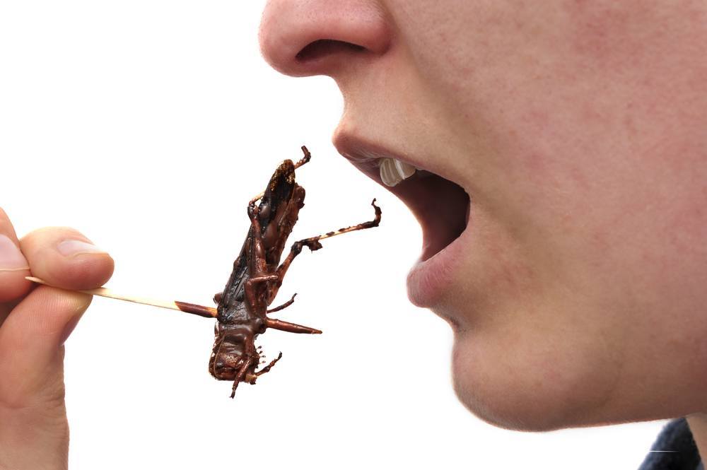12 Edible Bugs to Taste Around the Globe