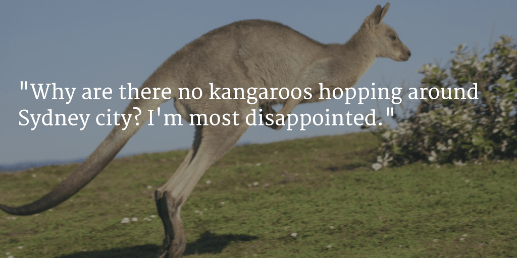 more tourist complaints