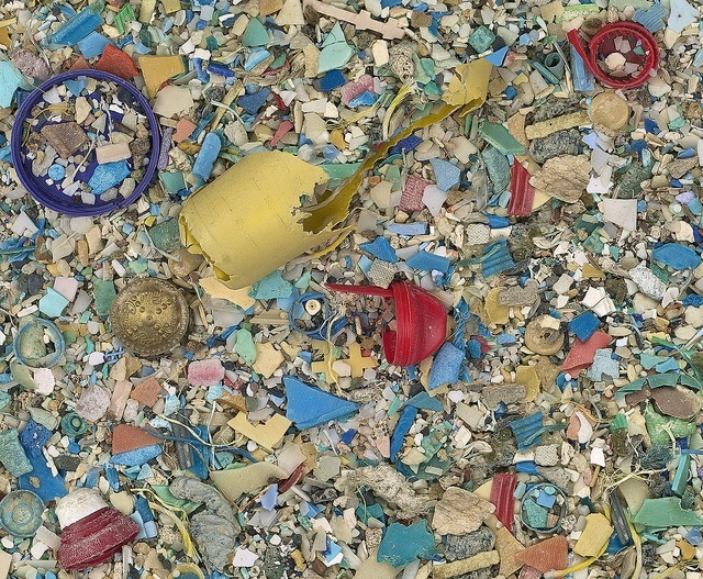 the ocean cleanup