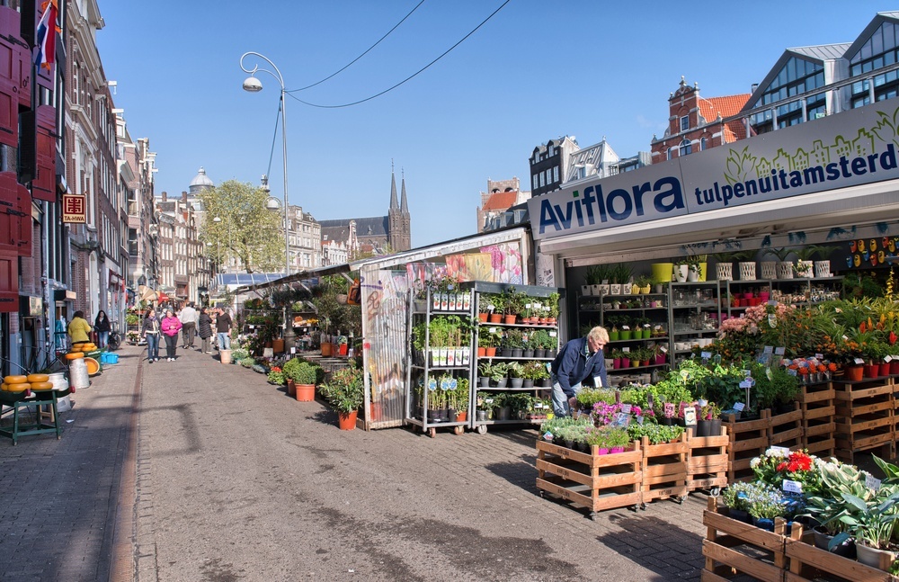 city break in Amsterdam