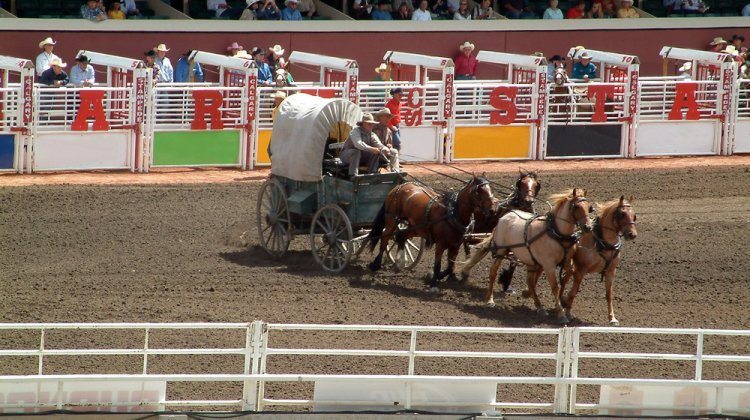 experiences at the Calgary Stampede