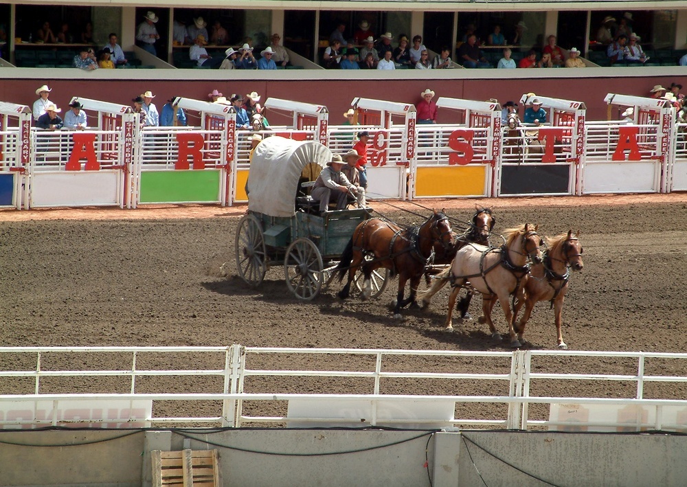 experiences at the Calgary Stampede