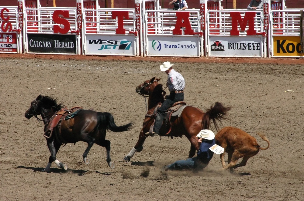 experiences at the Calgary Stampede