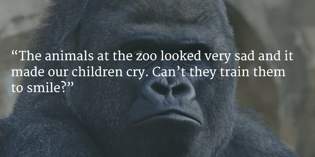 real tourist complaints