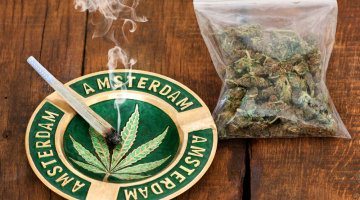 things not to do in Amsterdam