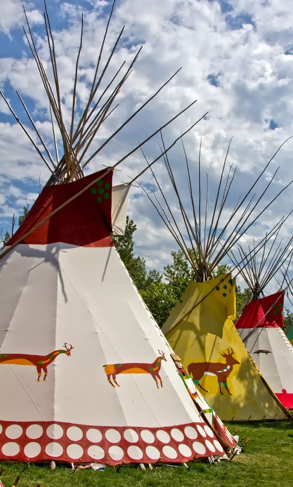 experiences at the Calgary Stampede
