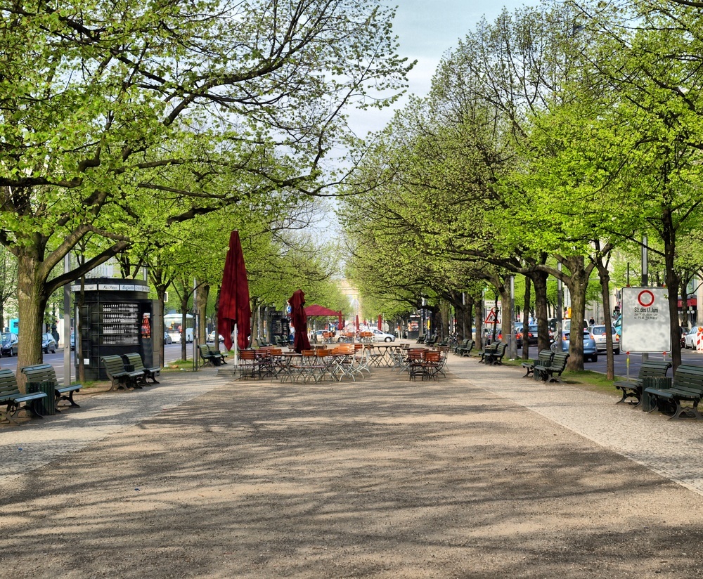 улица под липами в берлине