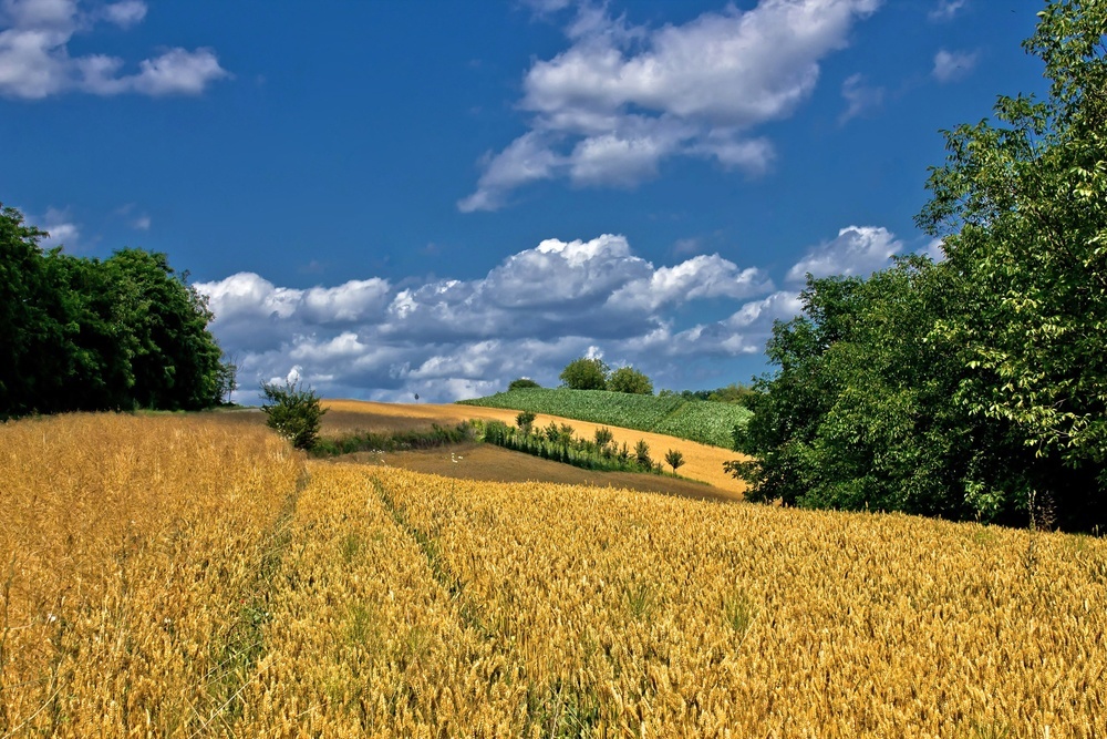 Croatia should be on your travel radar