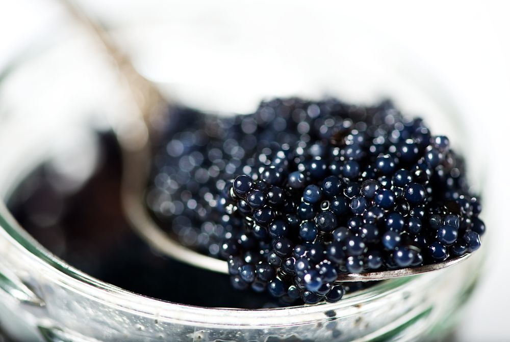 foods to try on a trip to Russia