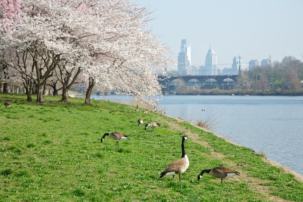 trip to Philadelphia