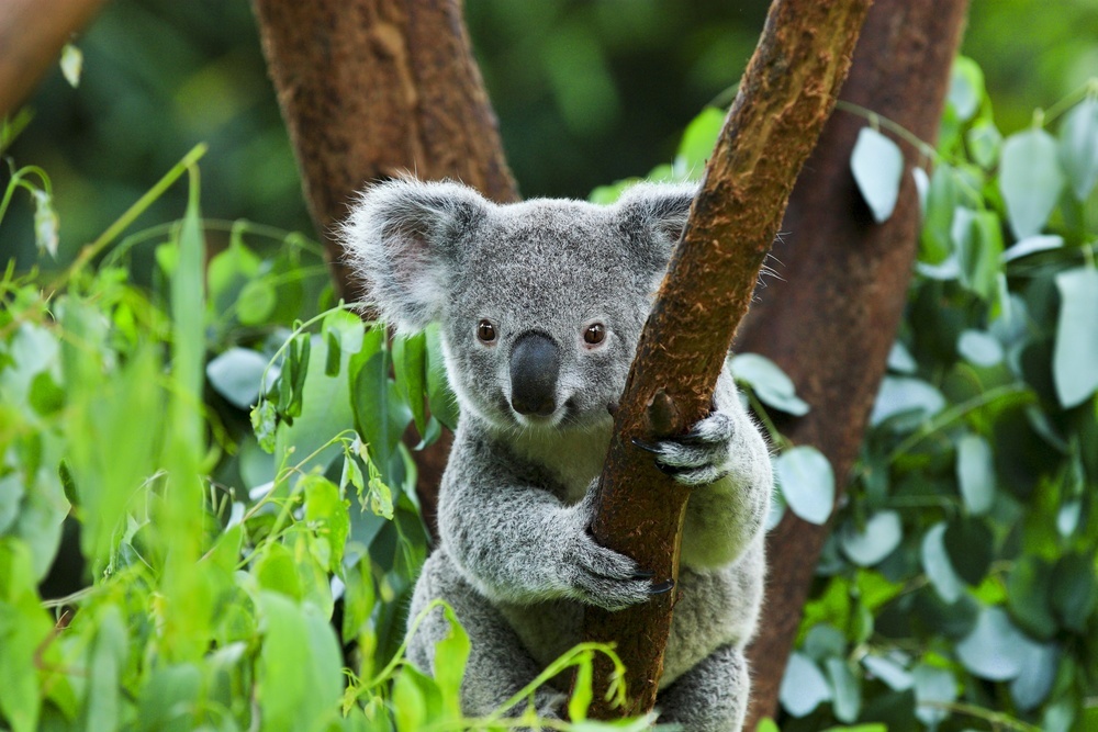 tips for better vacation photos