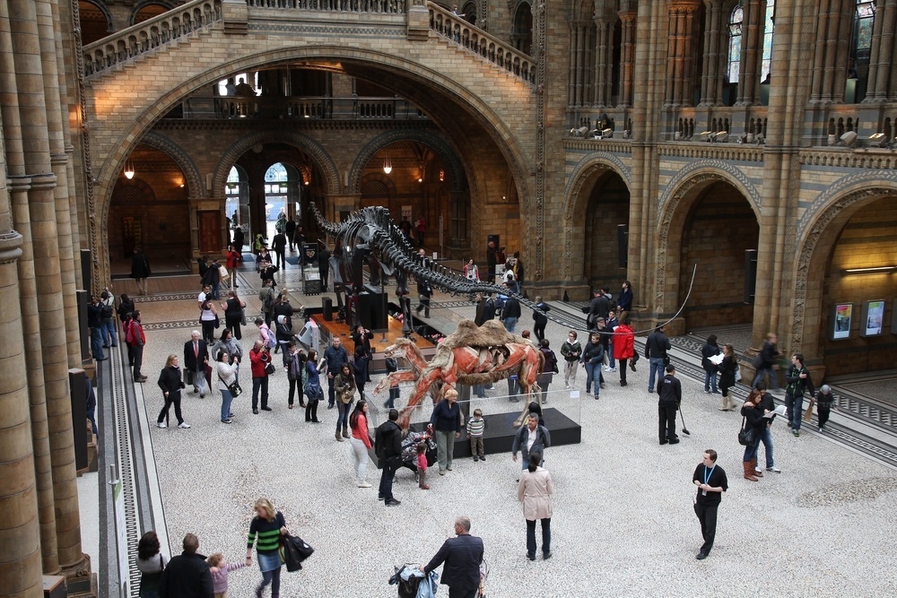 top 10 dinosaur museums
