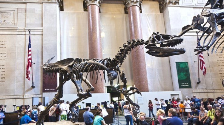 top 10 dinosaur museums
