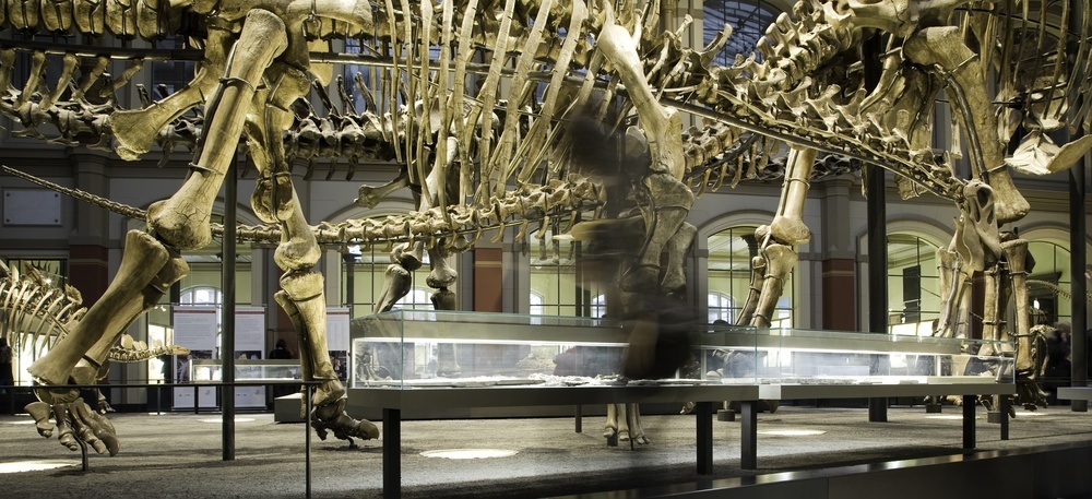 top 10 dinosaur museums