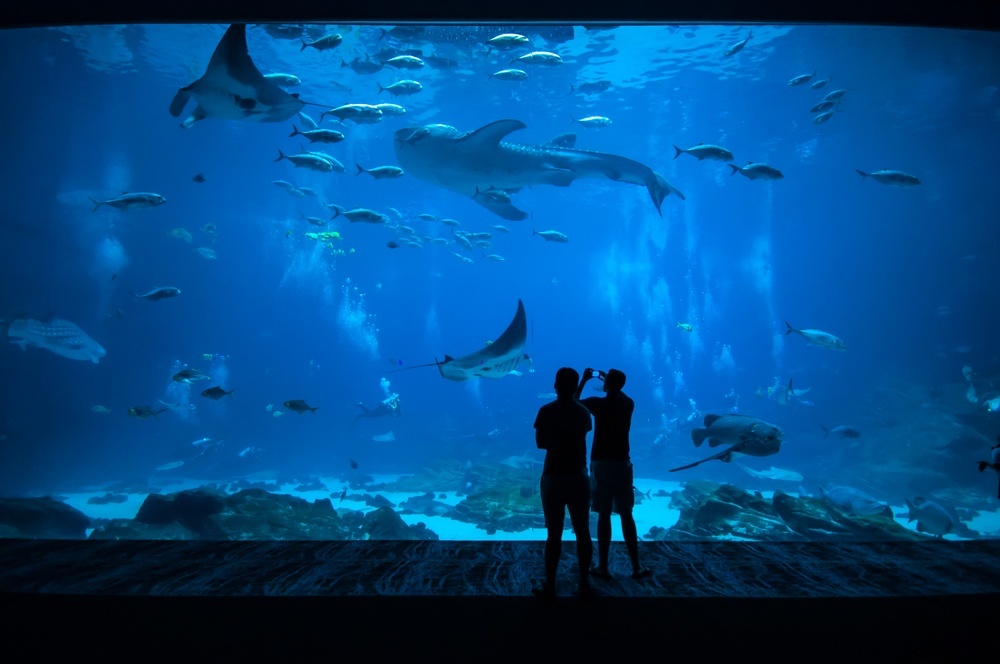 reasons to visit Atlanta