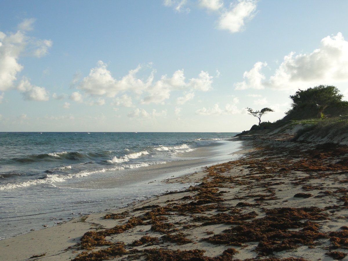Kite Surfing Beach