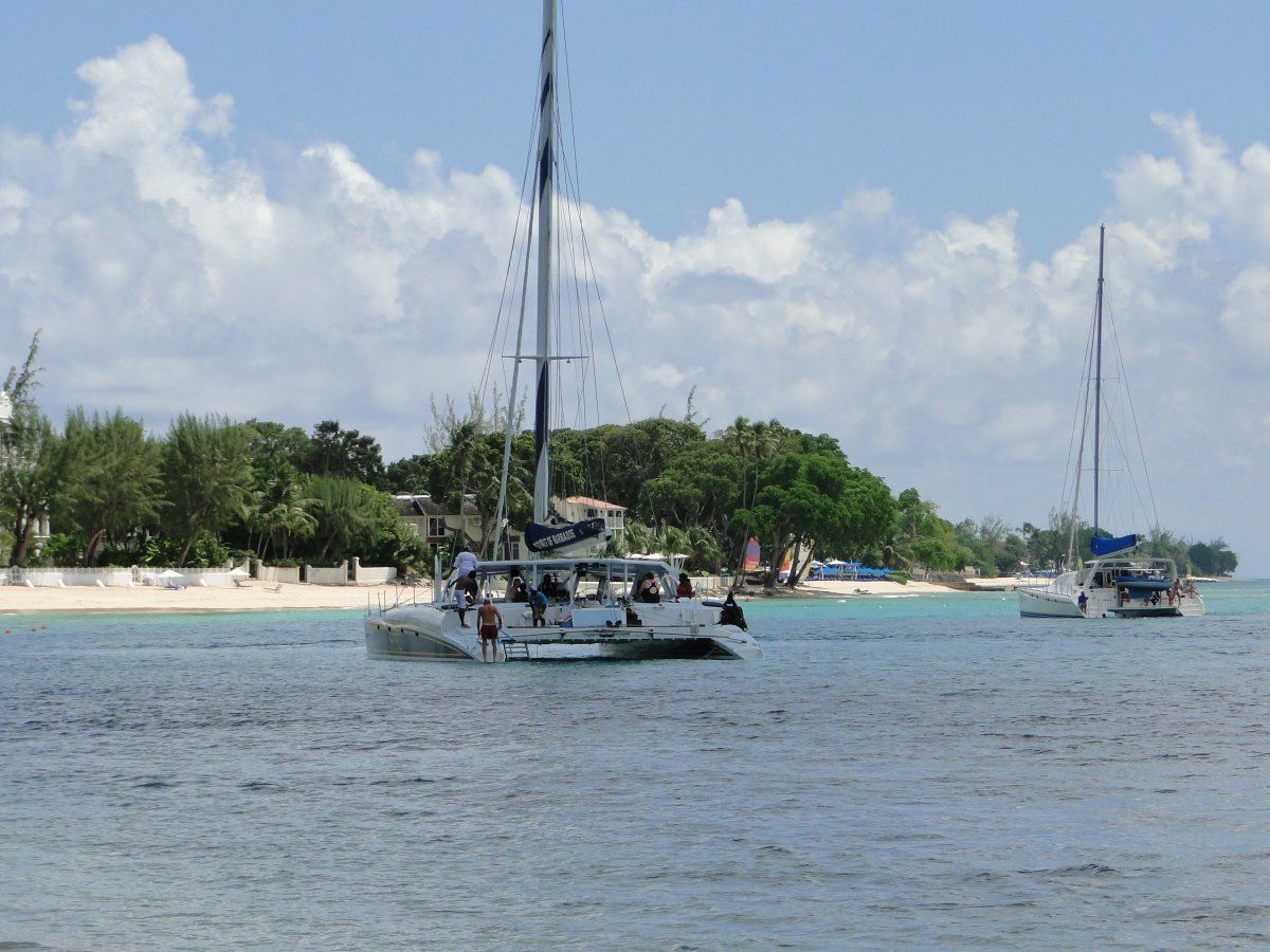 Paynes Bay Catamarans Swimming with Turtles