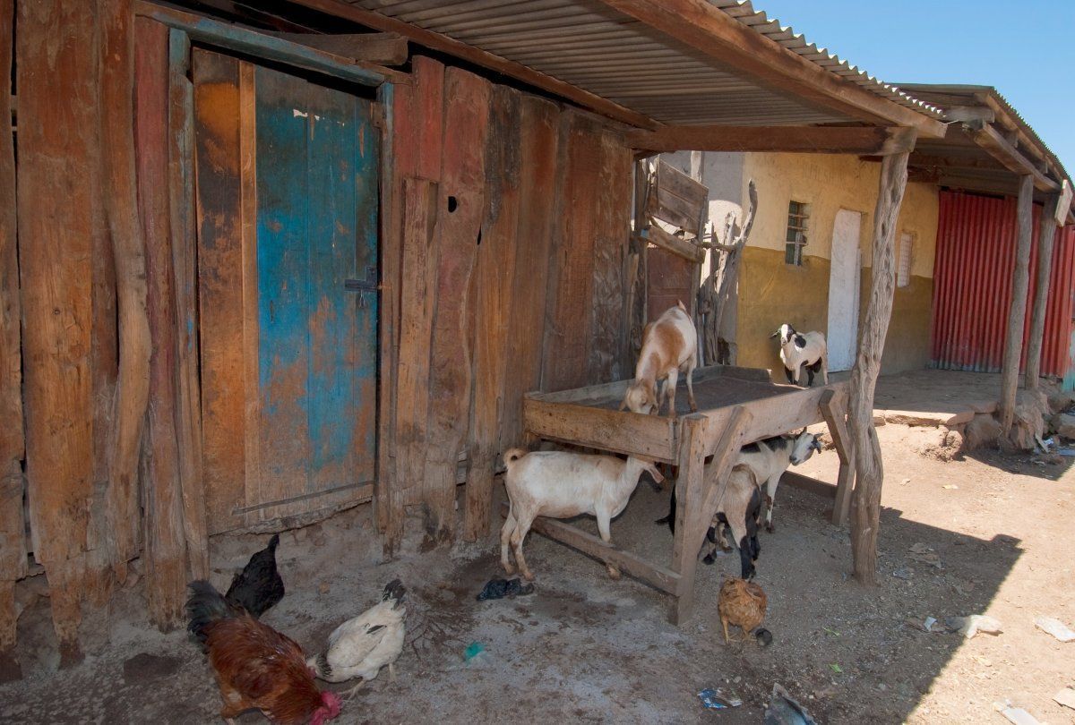 African Village Roadside Scene