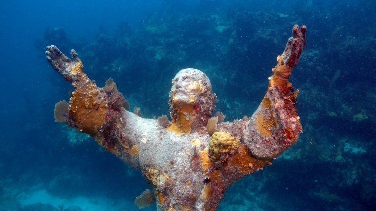 underwater wonders