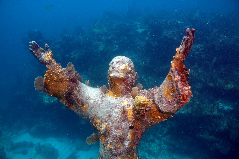 underwater wonders