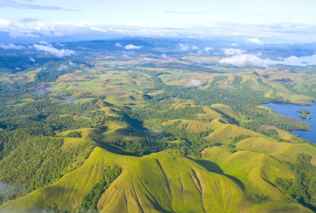 Coast Of New Guinea