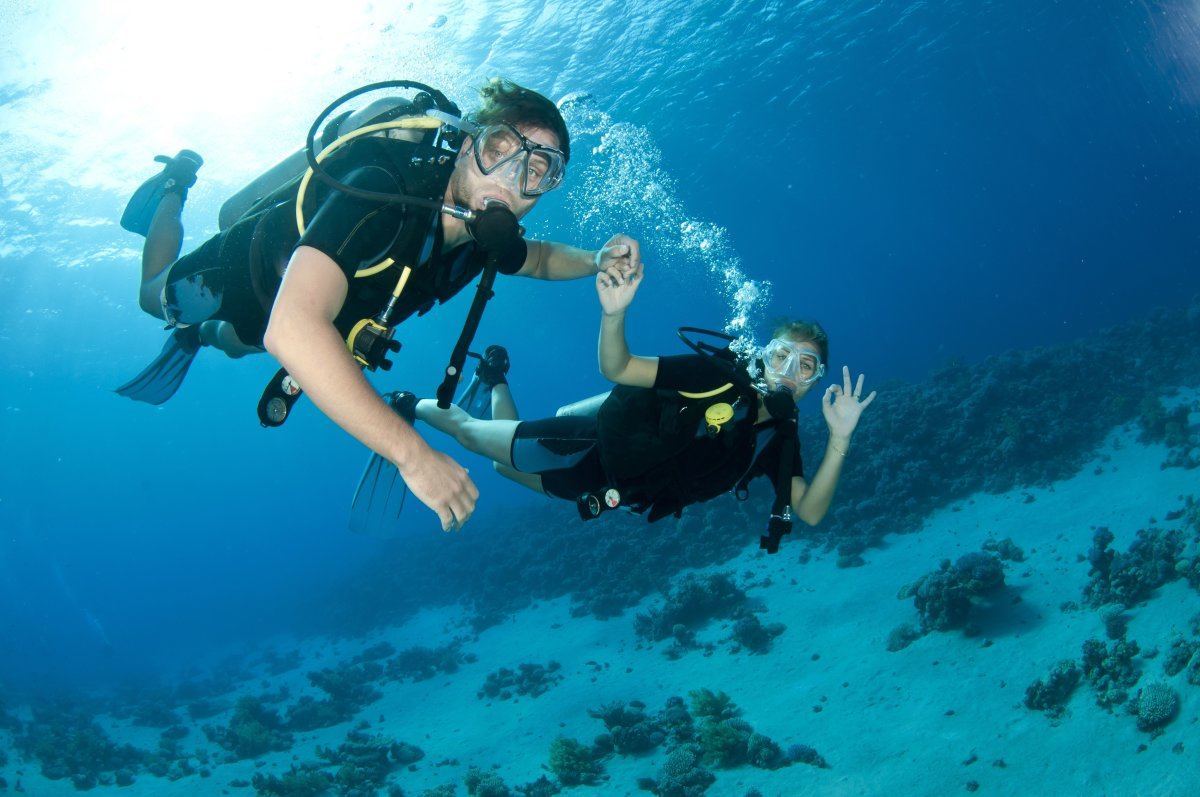 Couple Scuba Dive On A Coral Reef