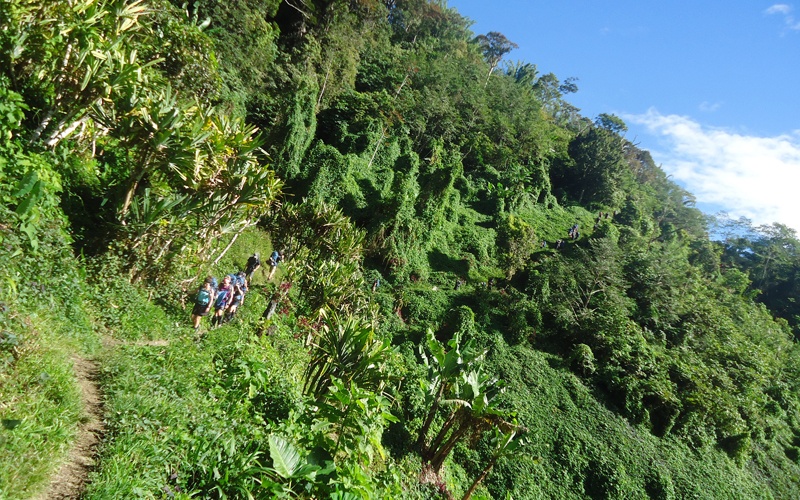 Spectacular Kokoda Landscape