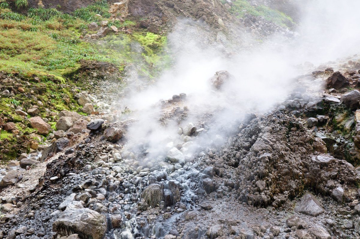On The Way To Boiling Lake, Dominica