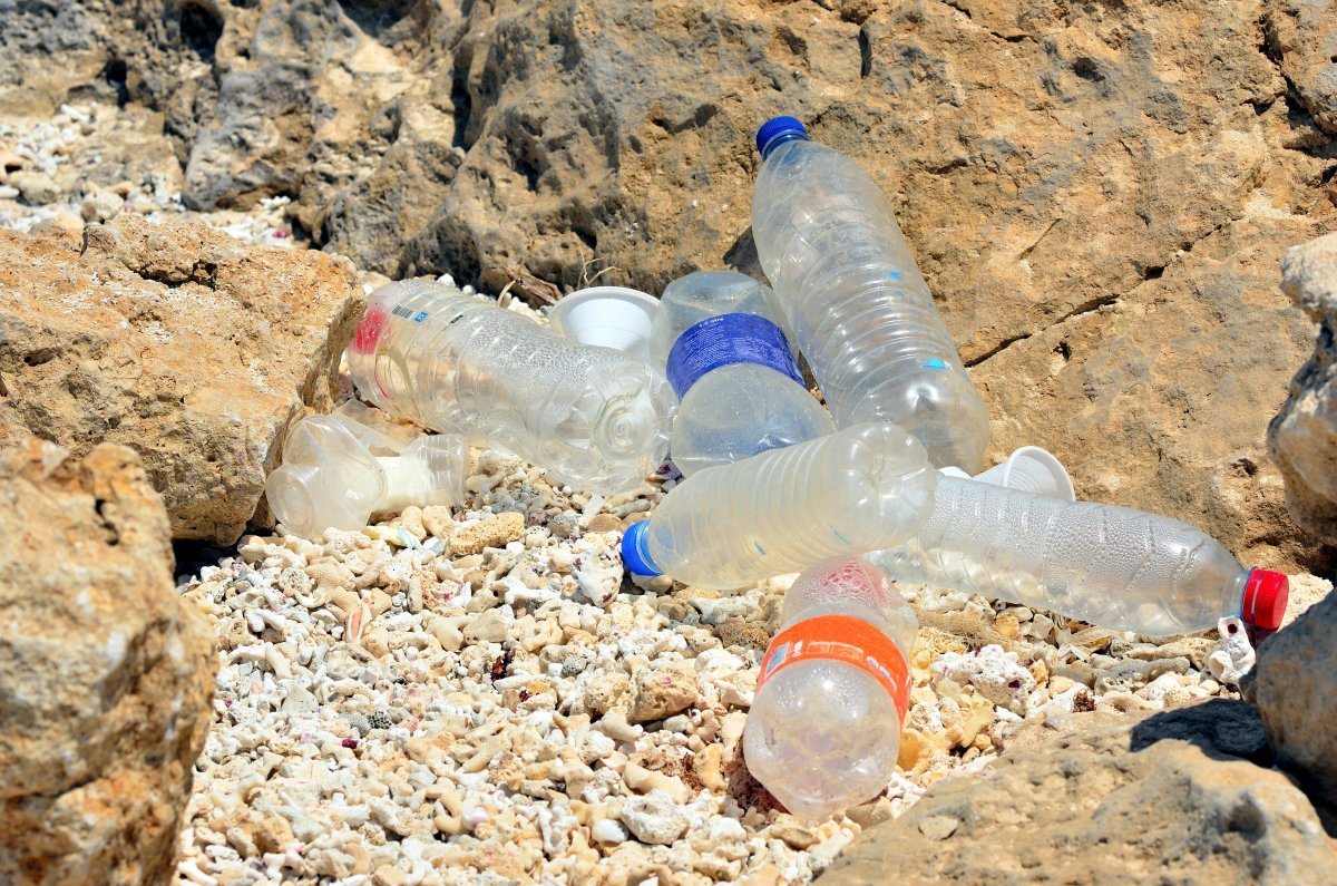 Plastic Bottles On The Beach