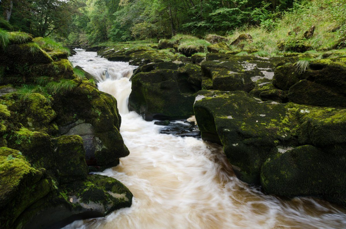 The Strid In Wharfedale