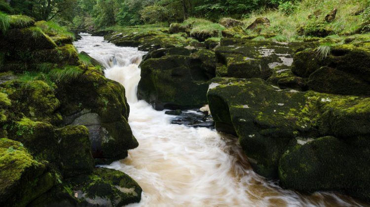 The Strid In Wharfedale