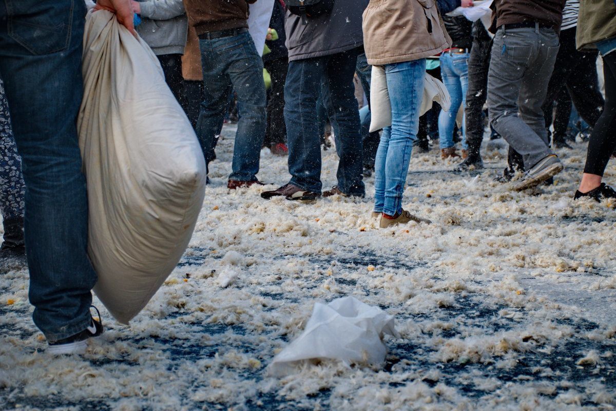 Pillow Fight Day