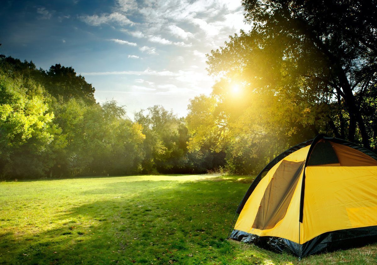 Tourist Tent In Camp