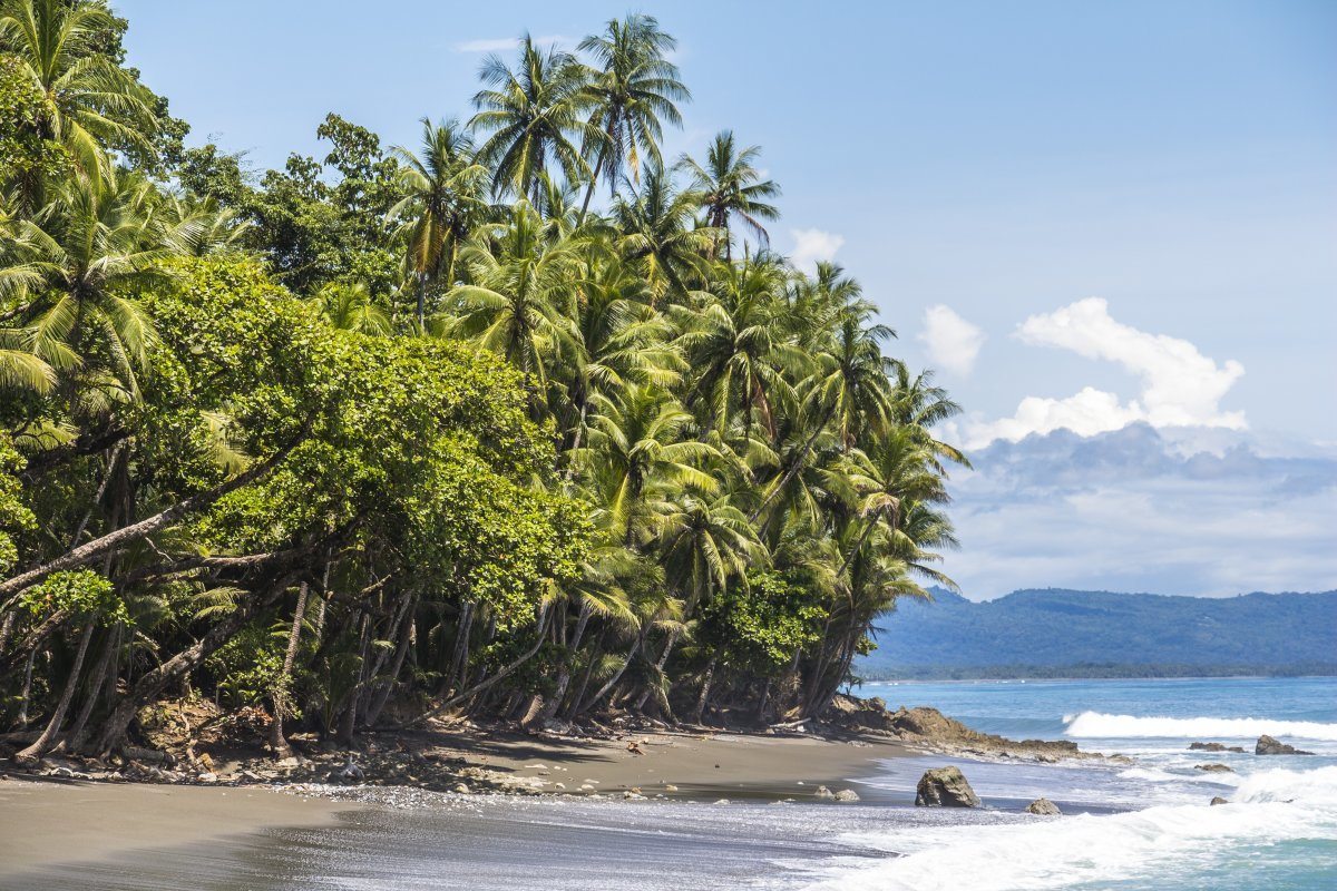 Beach And Jungle In Corcovado National Parc, Costa Rica