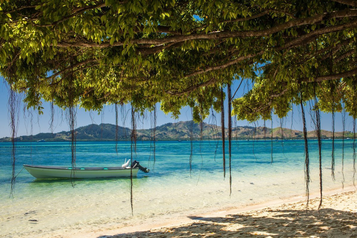 Boat And Trees On A Tropical Beach In Fiji Islands