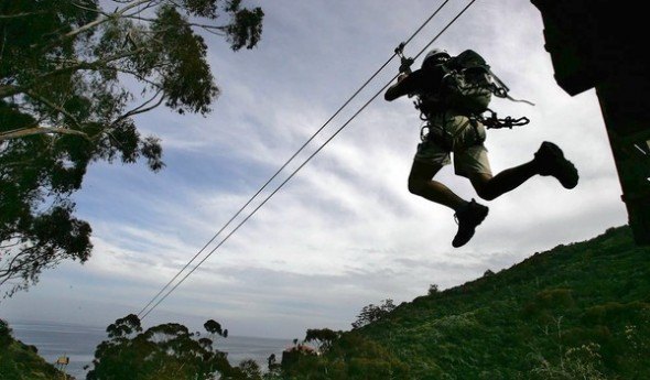 Catalina zip line