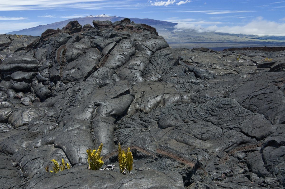 Cracked Lava Rocks From Mauna Loa Volcano