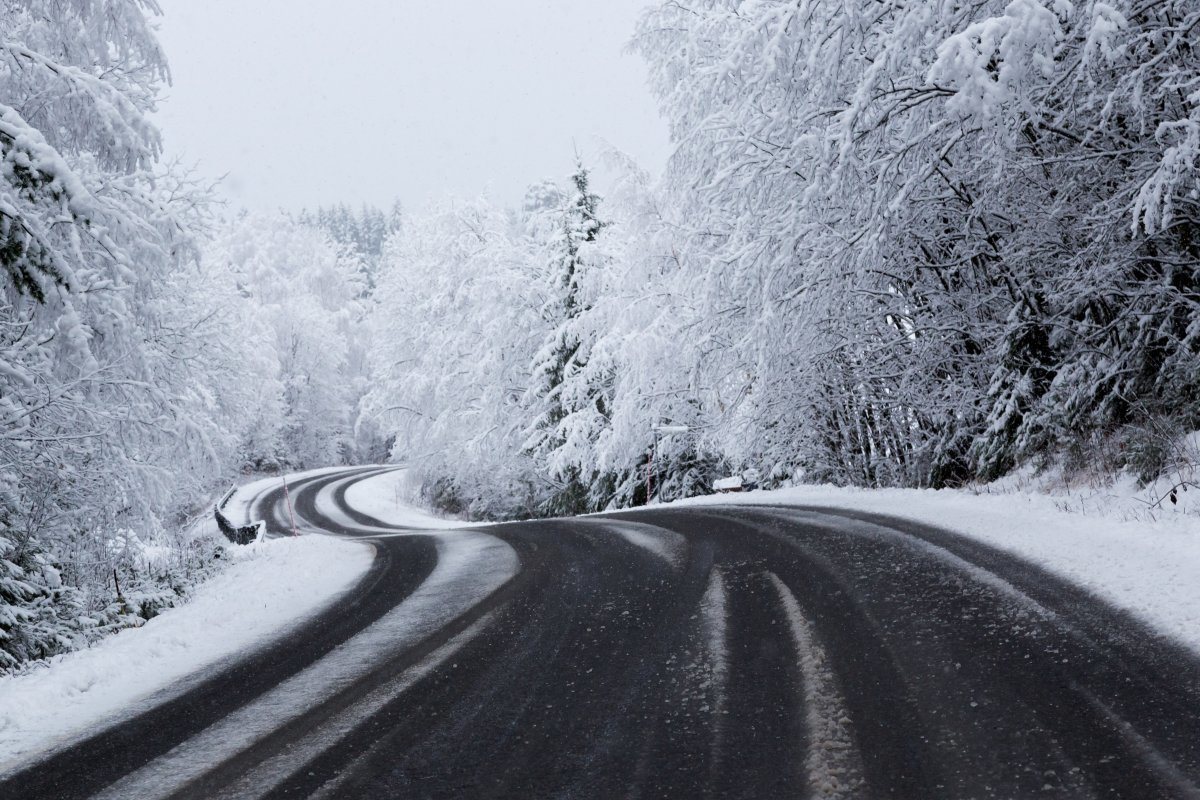 Curvy Winter Road