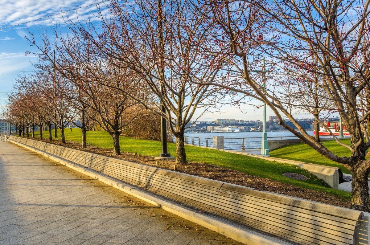 Empty Long Wooden Bench Along A Riverside Footpath In New York