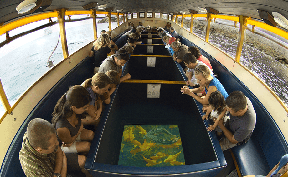 Glass Bottom Boat Catalina