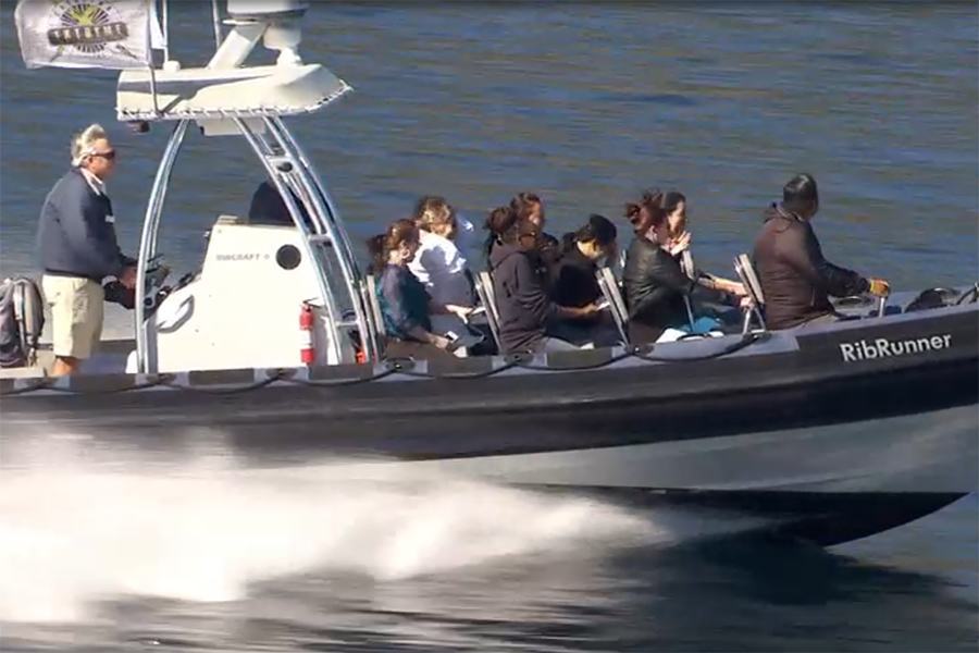 Ocean Runner boat tour Catalina