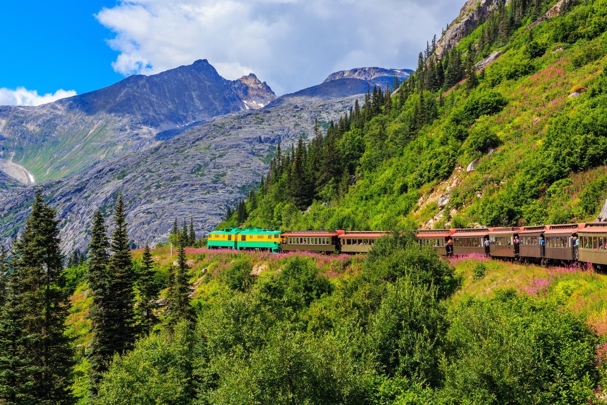 The Scenic White Pass Alaska
