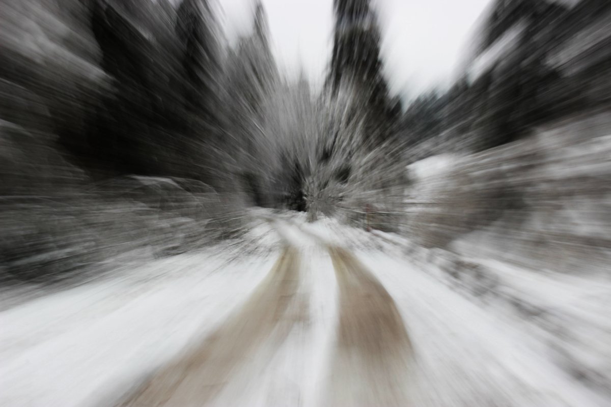 Winter Zoom