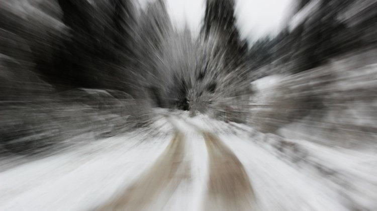 Winter Zoom