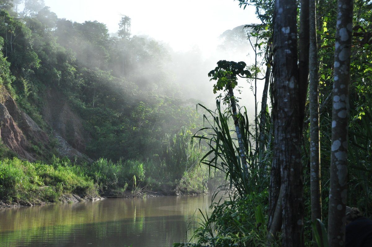 A Sunrise Along The Tambopata River In The Peruvian Amazon