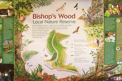 Bishop's Wood