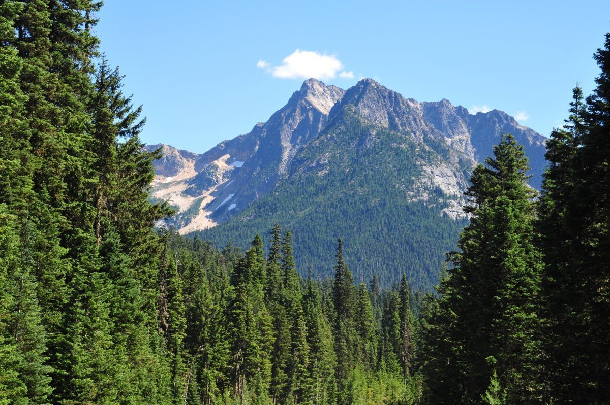 Cascade Mountains In Western Washington