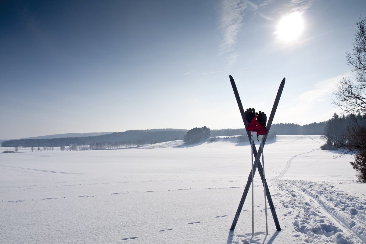Cross Country Ski Trail With Skis