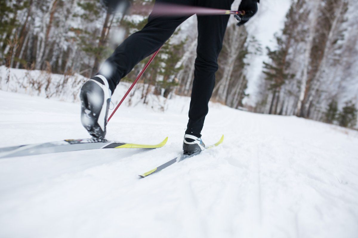Cross Country Skiing, Close-Up