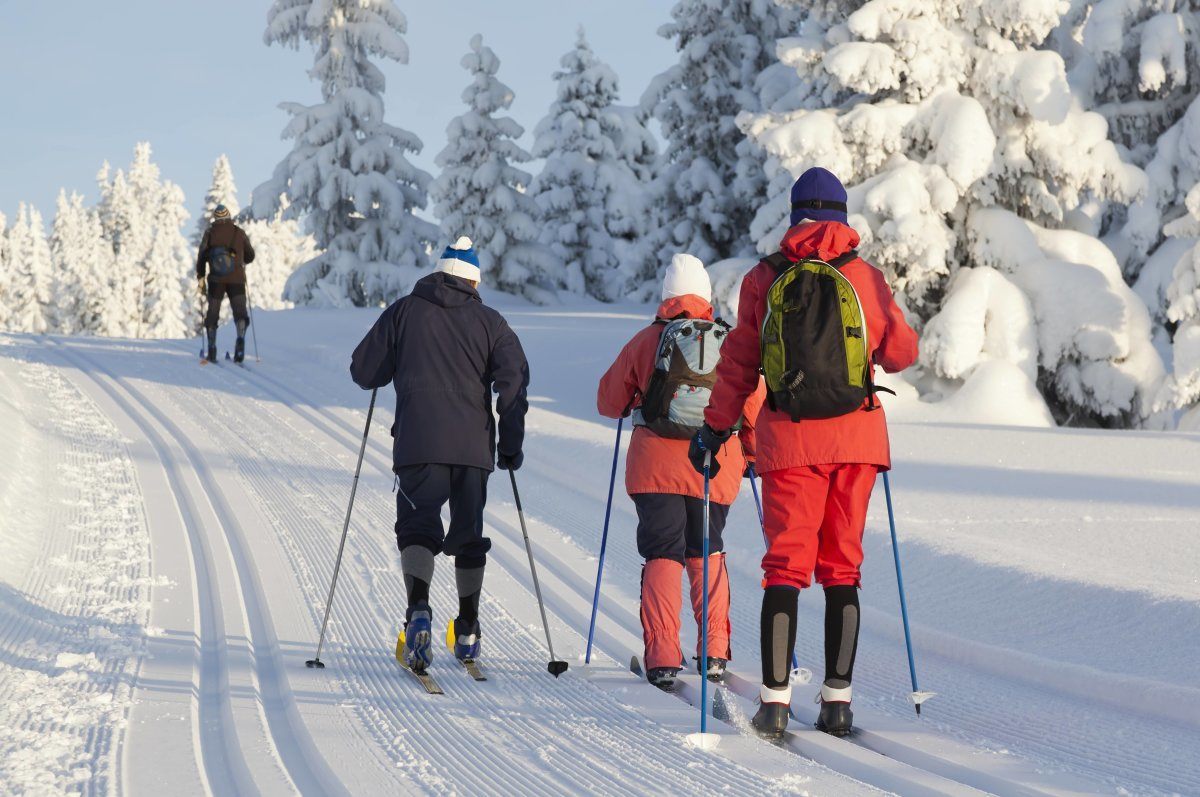 Group Of People Cross Country Skiing On Beautiful Winter Morning